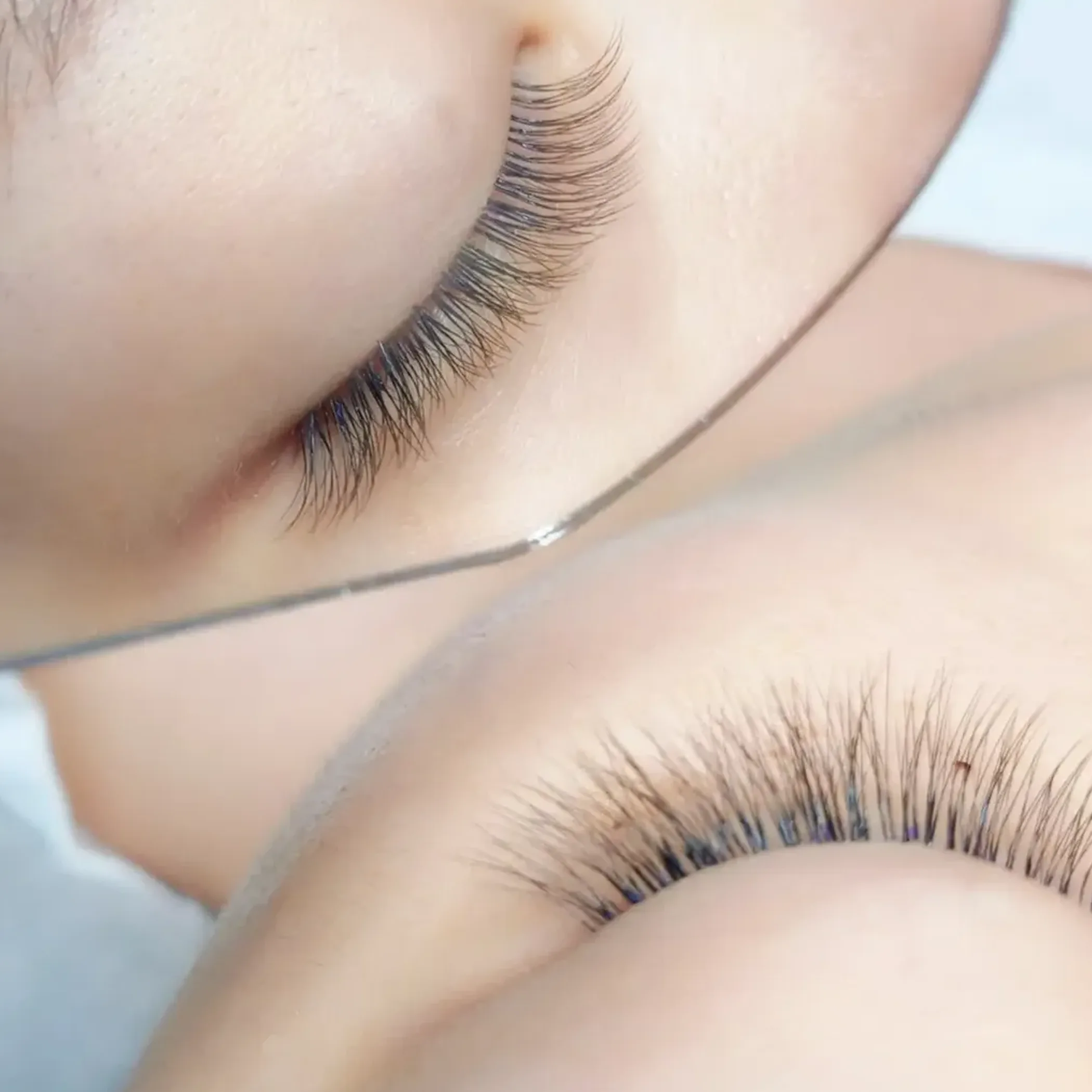 close-up of natural eyelashes lifted upward