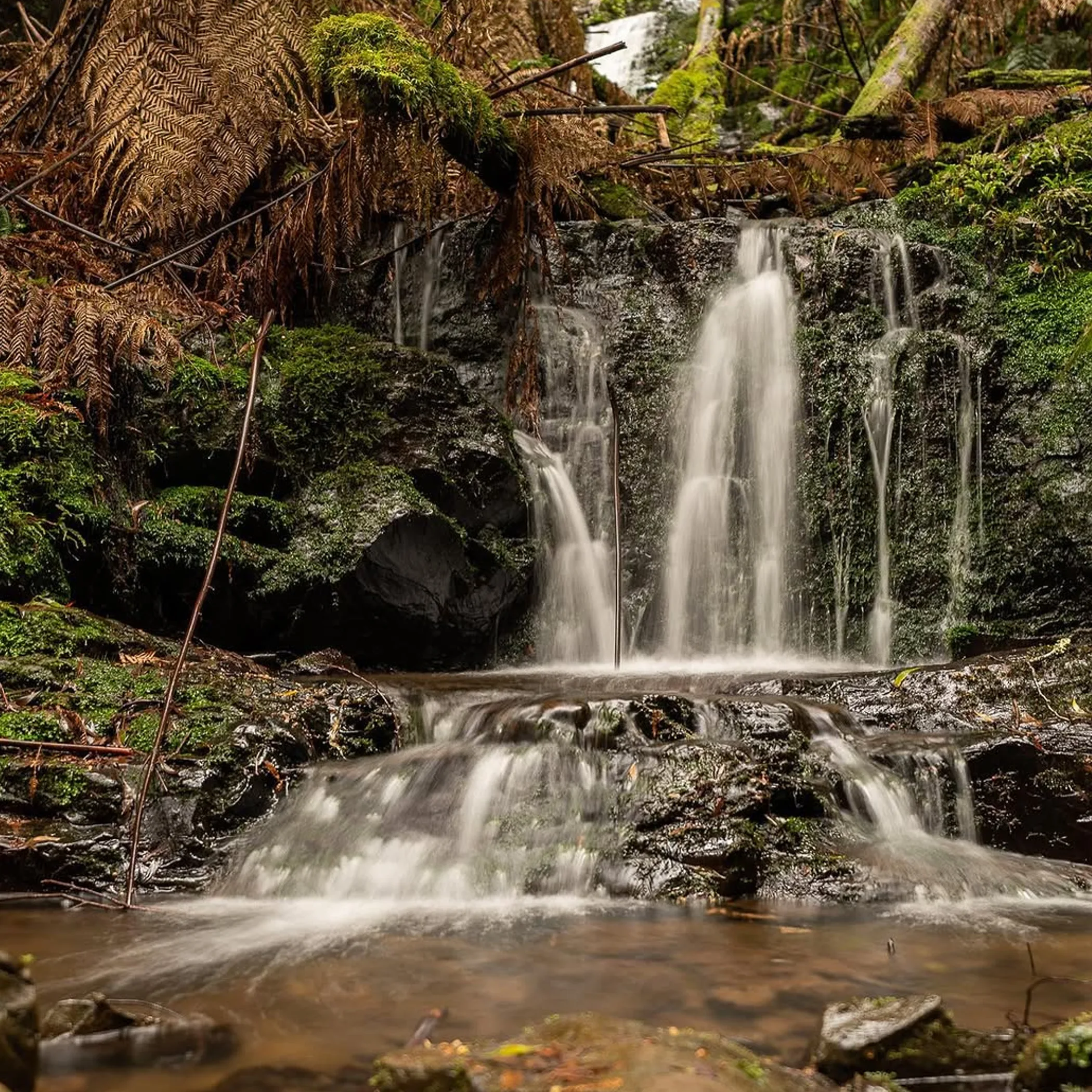 otways waterfall near great ocean road