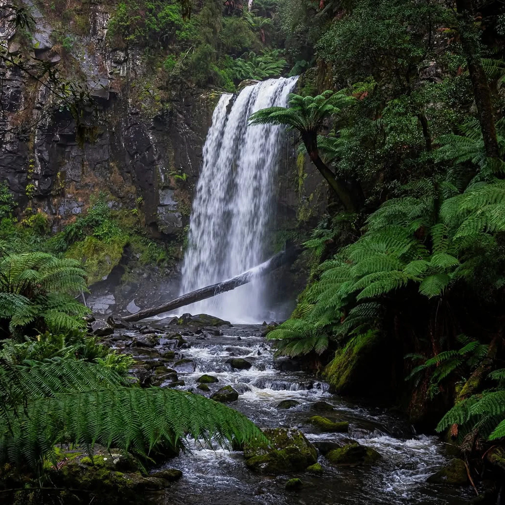 hopetoun falls and otway waterfalls