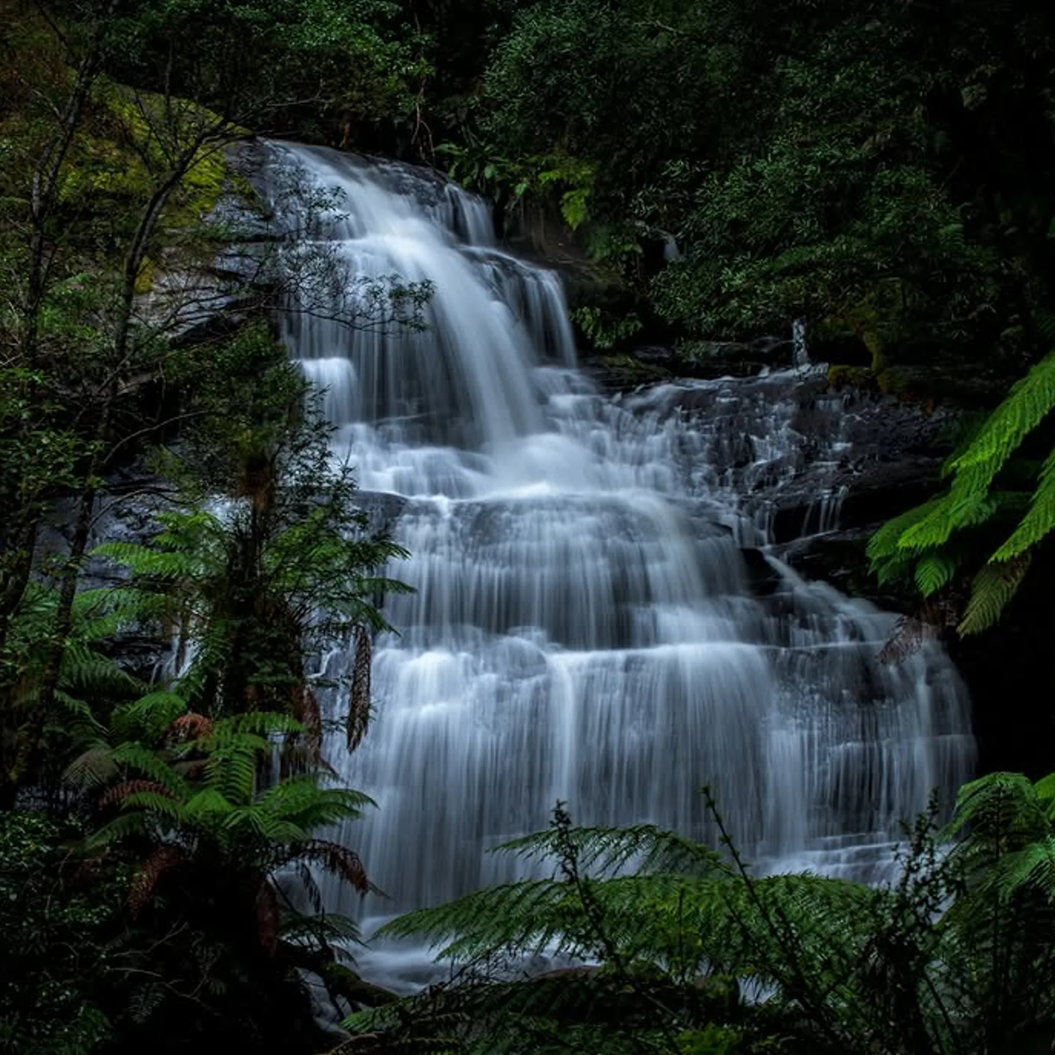 otway waterfall on great ocean road