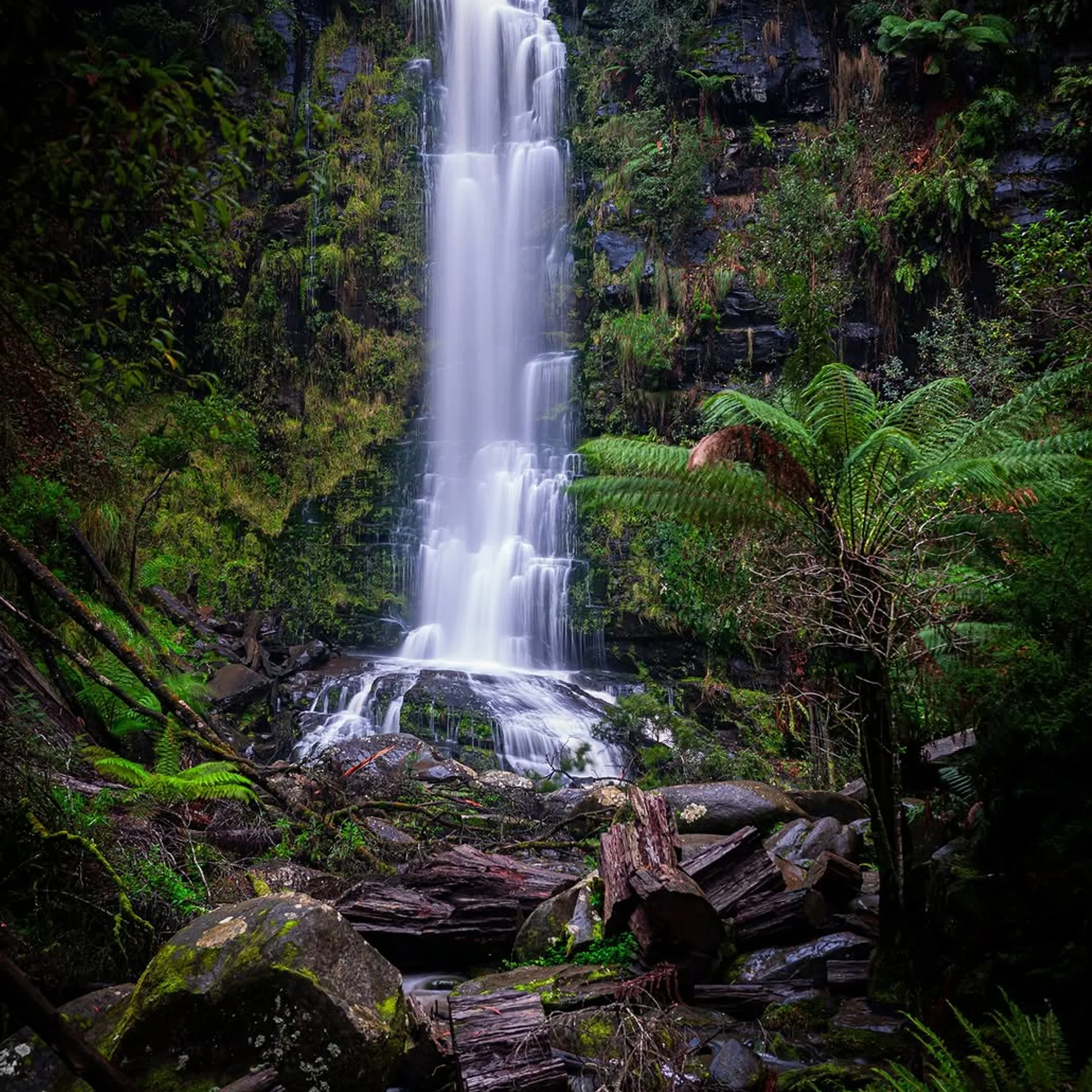 sharp waterfall photograph